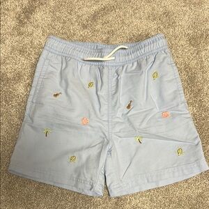 Light Blue Embroidered Shorts
